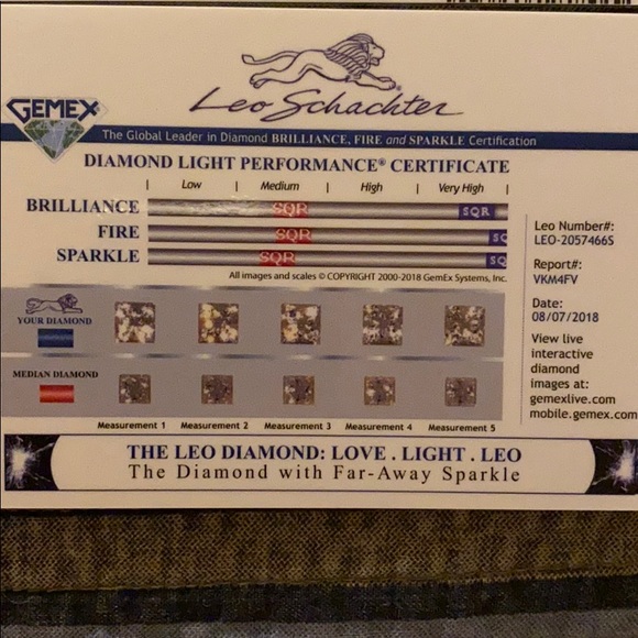 Leo Artisan Princess Cut 1ct Ring and Wedding Band - Picture 14 of 16